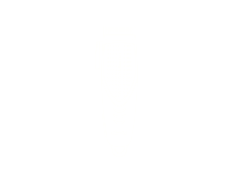 Hair clippers