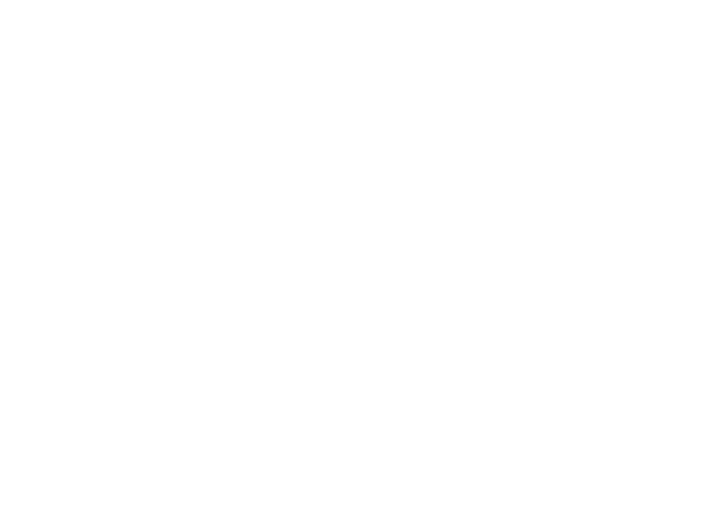 Hair curler